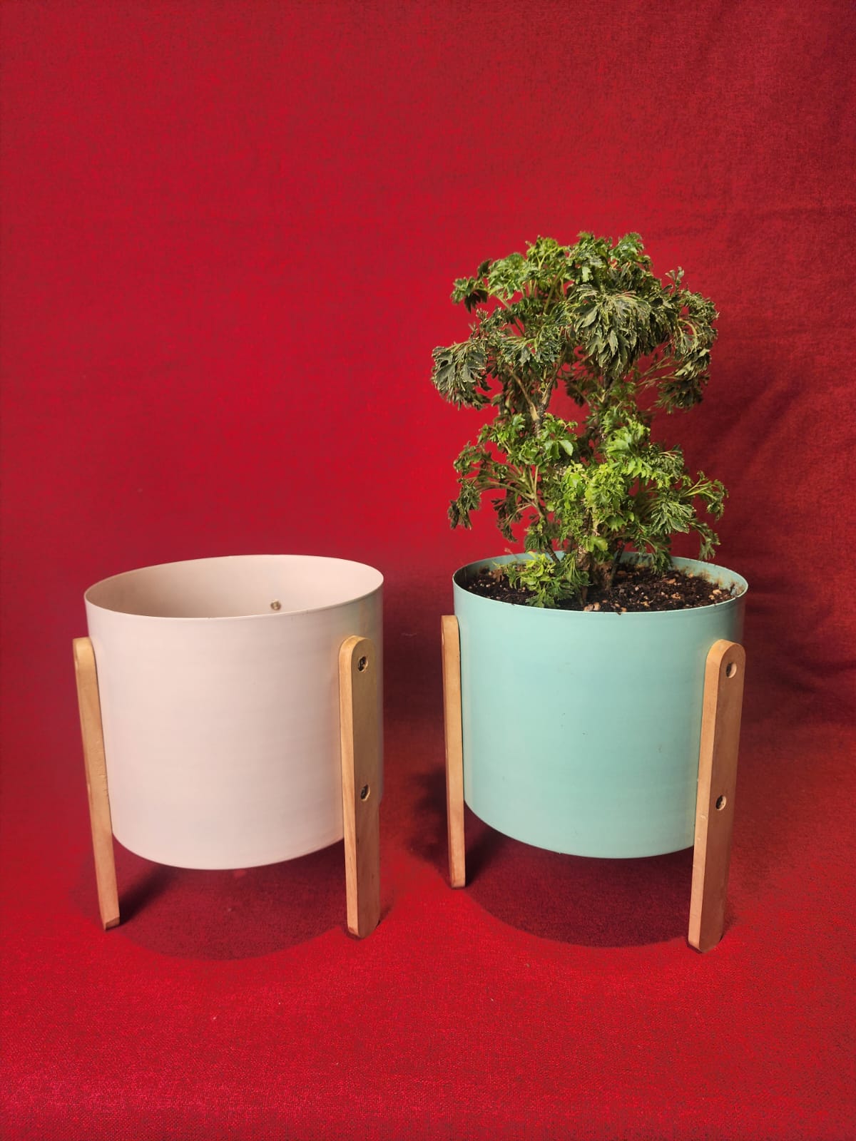 Minimalist Ceramic Planters with Wooden Stand