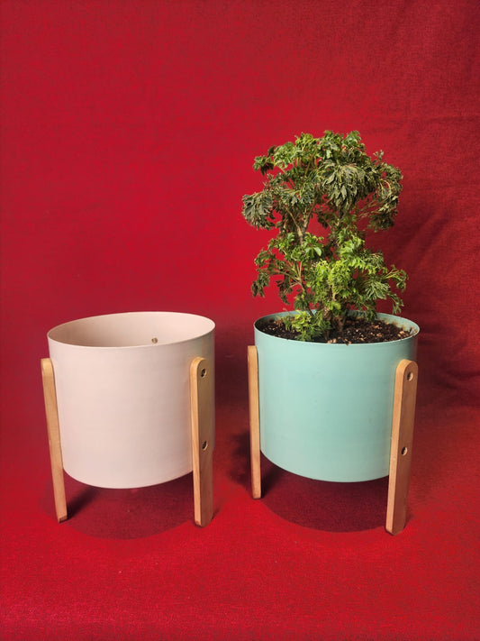 Minimalist Ceramic Planters with Wooden Stand